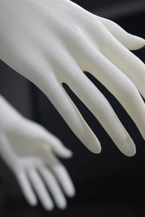 3D printed human body model detail display (2)